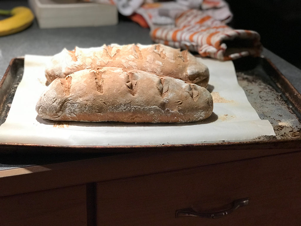 Making Sourdough Starter and Bread