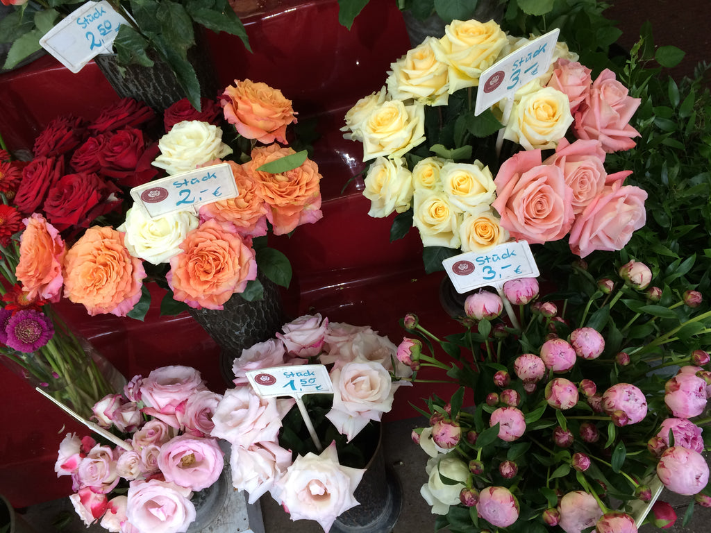 Roses in Munich