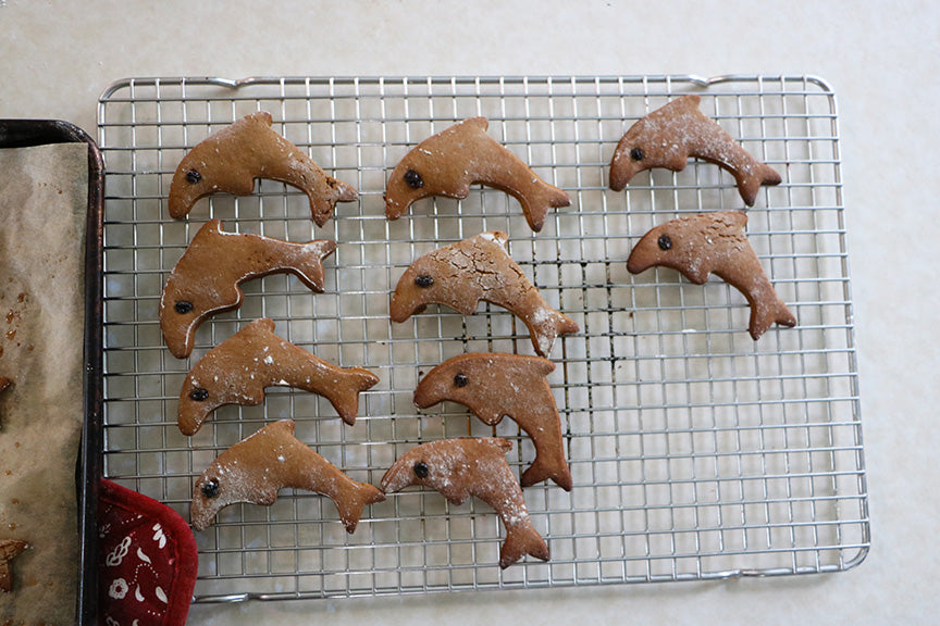 Dolphin Ginger Cookies