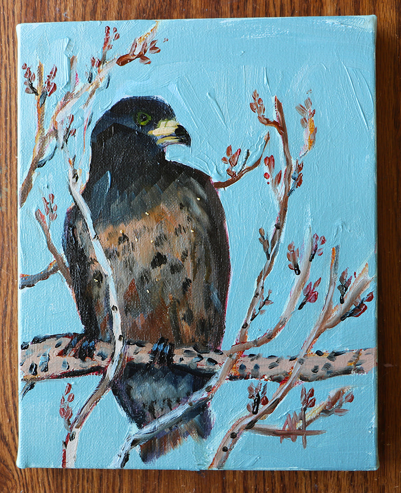 Finished Painting A Golden Eagle
