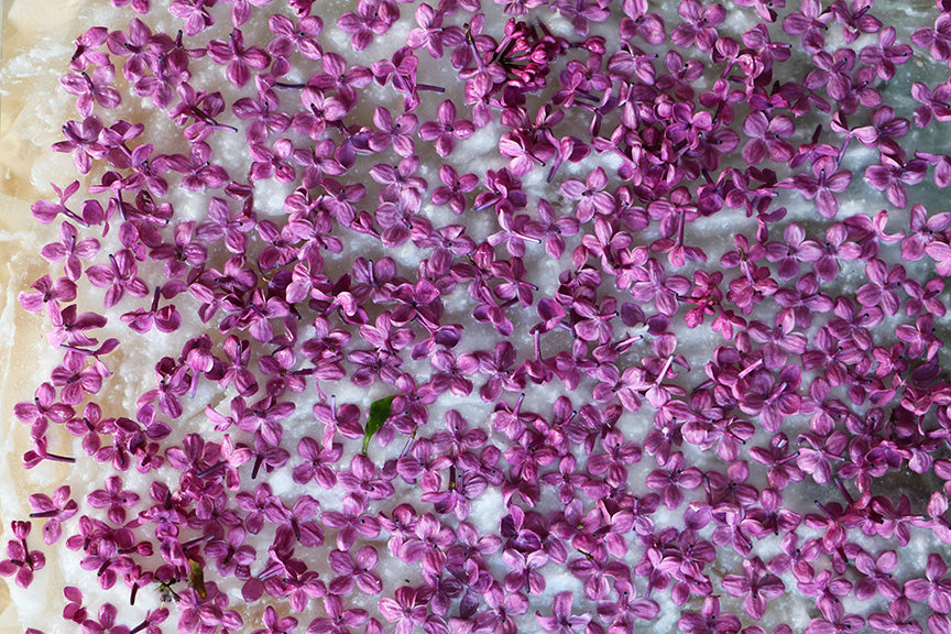 Lilac Enfleurage