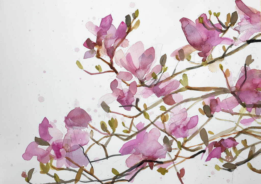 Floral Photographs and Watercolors