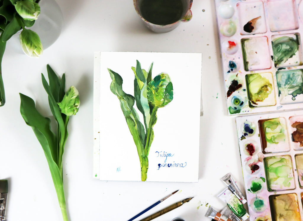 Painting Botanical Flowers in Watercolor