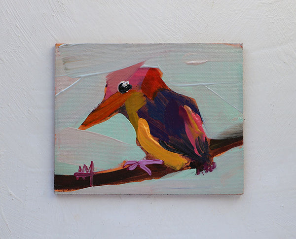 Black Backed Dwarf Kingfisher Original Oil Painting by Angela Moulton