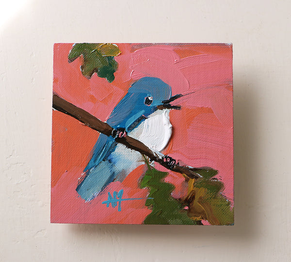 Cerulean Warbler no. 323 Original Oil Painting by Angela Moulton