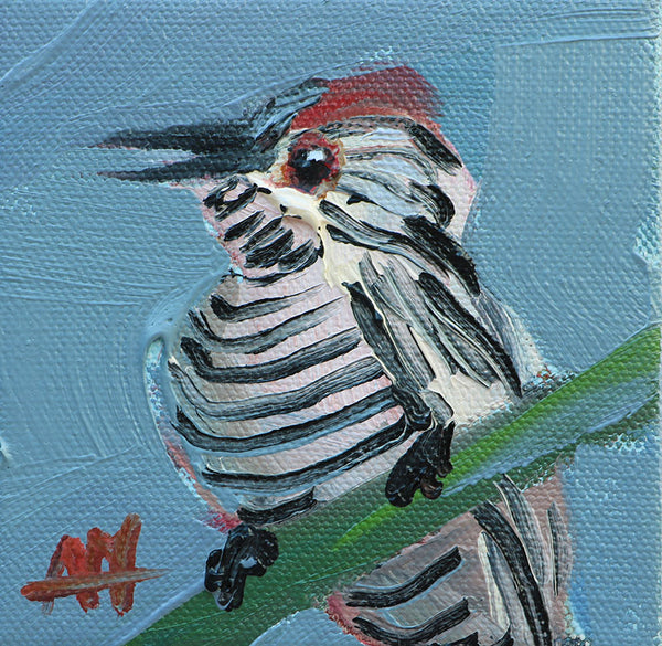 Fasciated Antshrike Original Oil Painting by Angela Moulton