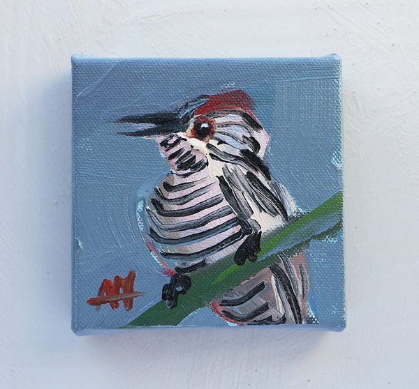 Fasciated Antshrike Original Oil Painting by Angela Moulton