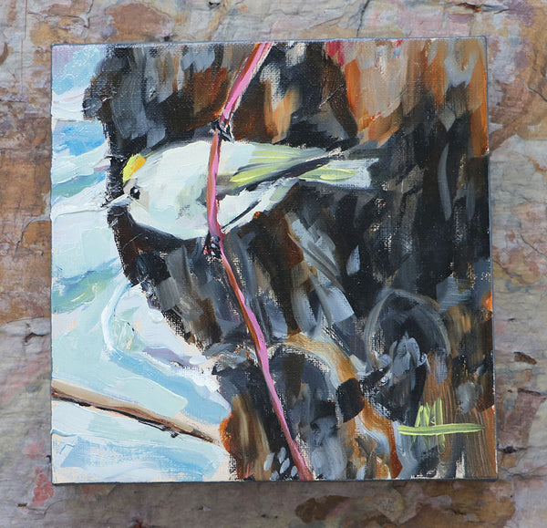 Gold-Crowned Kinglet on Twig Original Painting by Angela Moulton