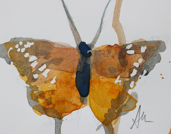 Hackberry Emperor Butterfly Painting Angela Moulton