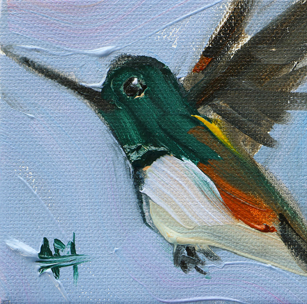 Humminbird no. 420 Original Painting by Angela Moulton