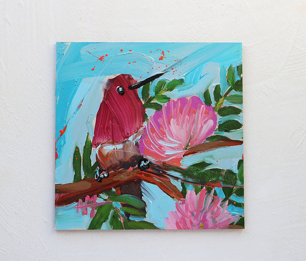 Hummingbird and Powder Puff Blossoms Original Painting by Angela Moulton