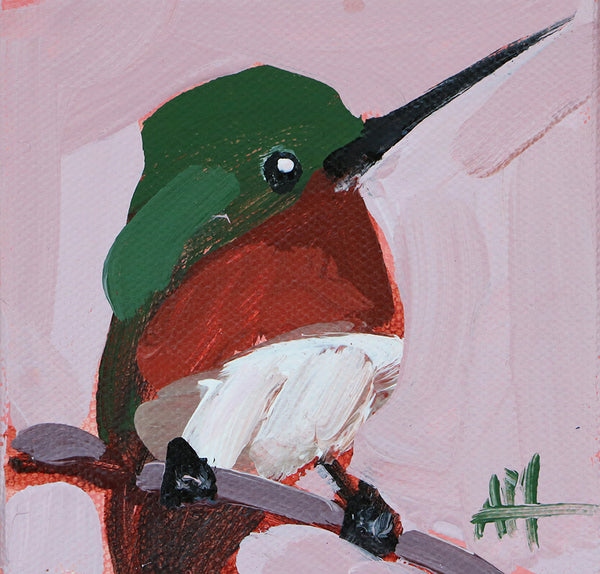 Hummingbird no. 411 Original Oil Painting by Angela Moulton