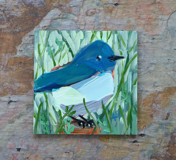 Mountain Bluebird no. 420 Original Oil Painting by Angela Moulton