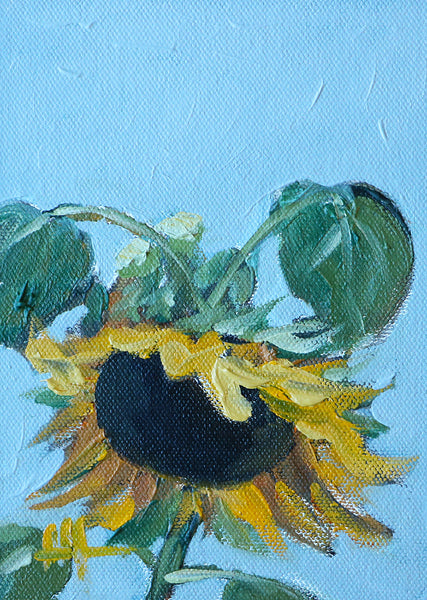Nodding Sunflower Original Oil Painting Angela Moulton